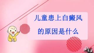 ϰײ緢